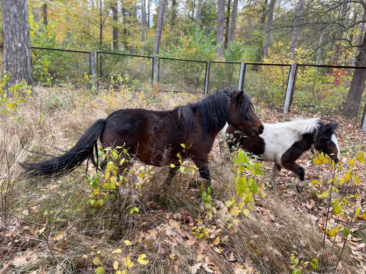 Победить и выстоять. Насколько в медицине важны системная поддержка и комплексный подход крупного бизнеса